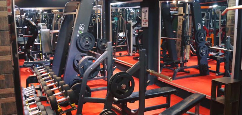 The Evolution Gym