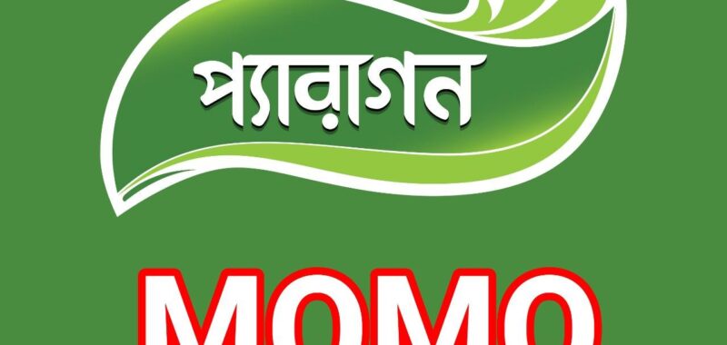 Paragon Momo – Shwapno Gopibagh